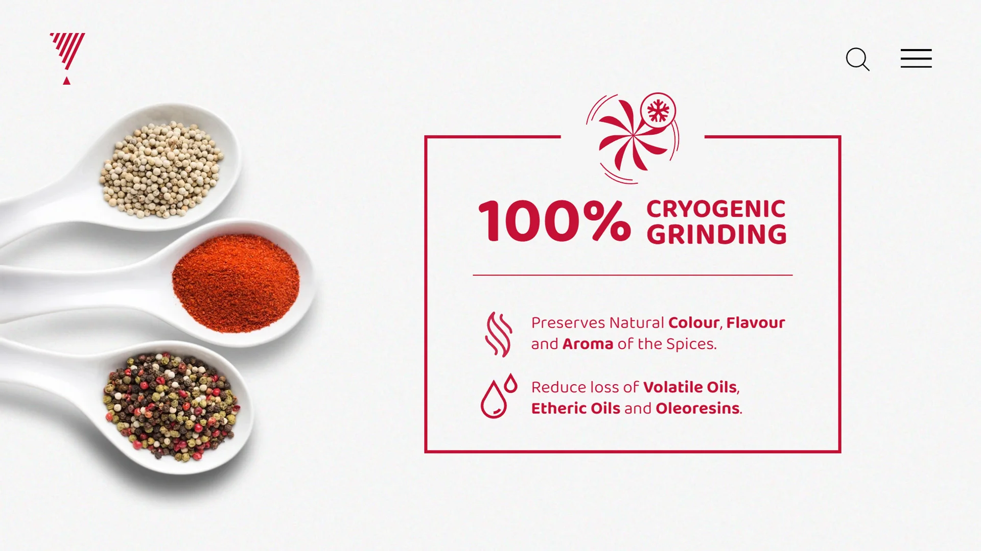 Satvam Brand Website Screen